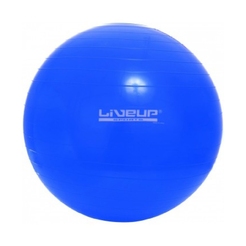 Мяч гимнастический Liveup Gym BallLS3221-65b - фото 1