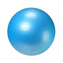 Мяч для фитнеса LiveUp ANTI-BURST BALLLS3222-55b - фото 1