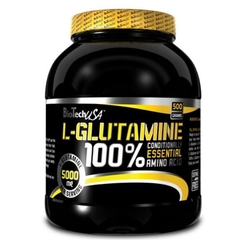 BioTech USA 100% L-Glutamine 240 гsr1469 - фото 1