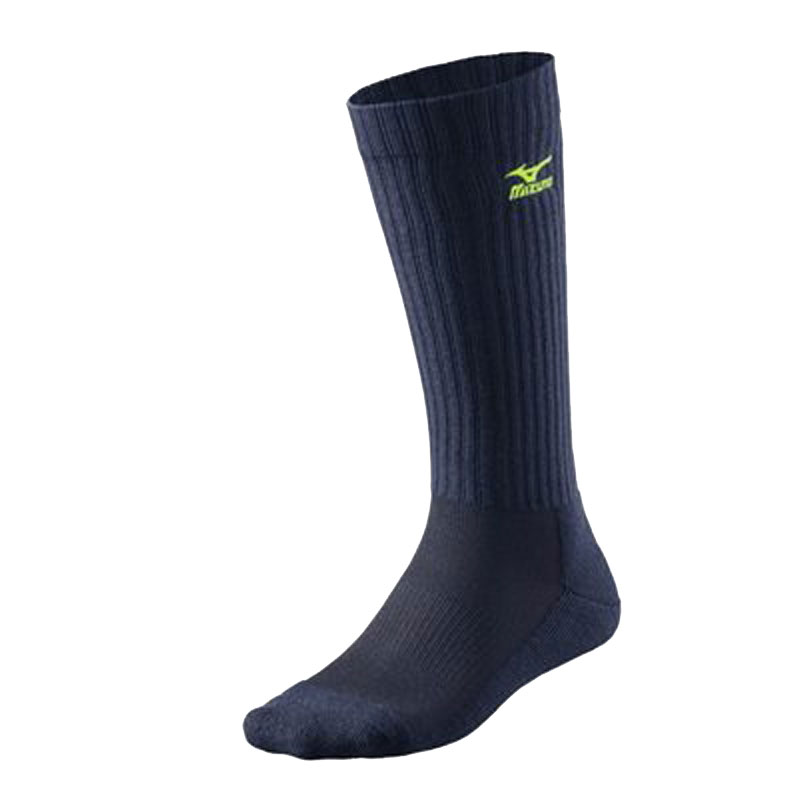 Носки Mizuno Volley Sock Long 67XUU7161-84