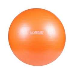 Гимнастический мяч LiveUp ANTI-BURST BALL-65CMLS3222-65o - фото 1