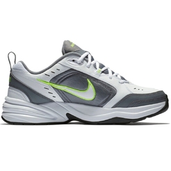 Кроссовки Nike Mens Air Monarch Iv Training Shoe415445-100 - фото 1