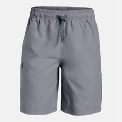 Шорты Under Armour Woven Graphic Shorts1329496-035 - фото 1