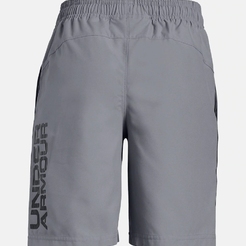 Шорты Under Armour Woven Graphic Shorts1329496-035 - фото 2