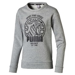 Лонгслив Puma Alpha Graphic Crew Fl B Medium Gray Heat580234031 - фото 1