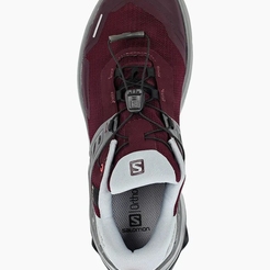 Кроссовки Salomon Shoes X Raise Gtx Winetastin/quarry/caL41041900 - фото 4
