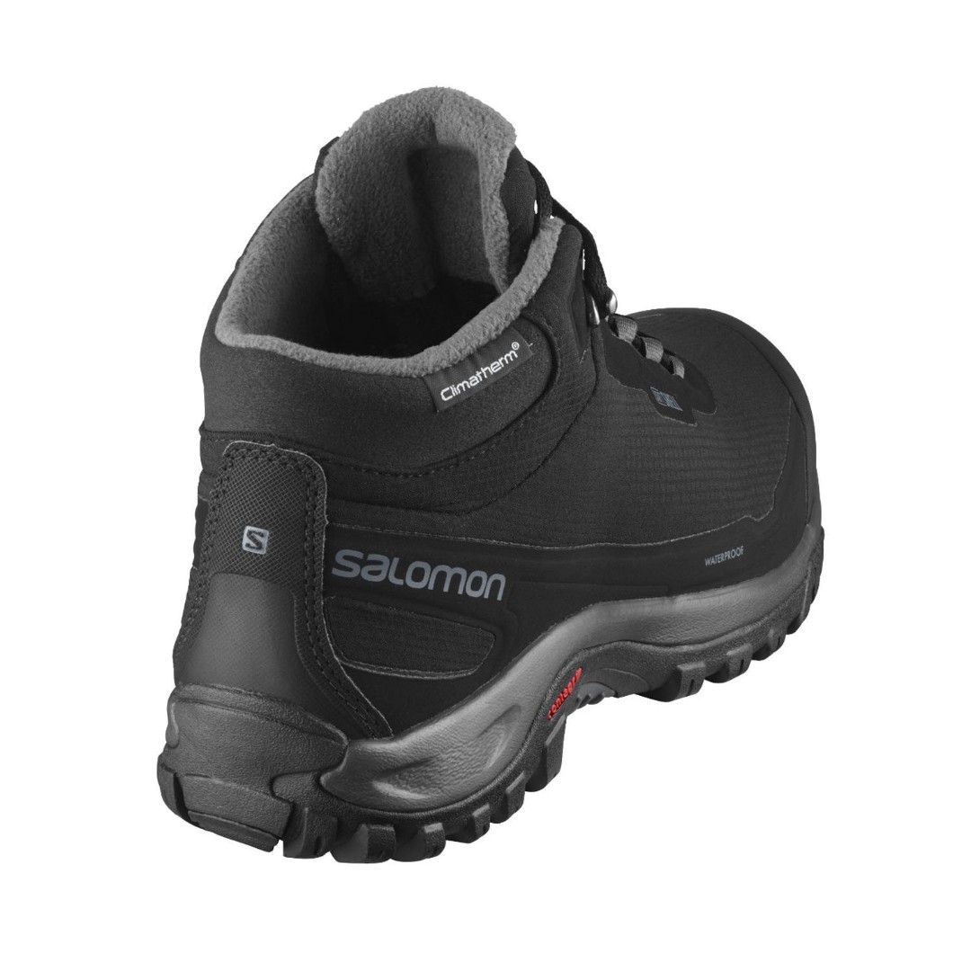 Ботинки Salomon Shelter CS WP L41110400 купить за 19 349 руб в  интернет-магазин dealsport.ru