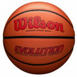 Баскетбольный мяч Wilson Evolution 295 Game Ball ScWTB0595XB0705 - фото 1