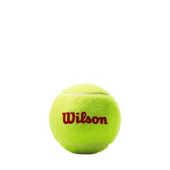 Мячи теннисные Wilson ROLAND GARROS 3 BALL RDWRT147600 - фото 1