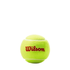 Мячи теннисные Wilson ROLAND GARROS 3 BALL ORWRT147700 - фото 1