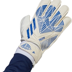 Перчатки вратаря Adidas PRED GL TRNH62433 - фото 1