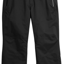 Горнолыжные брюки 4F MenS Ski TrousersH4Z21-SPMN006S-20S - фото 3